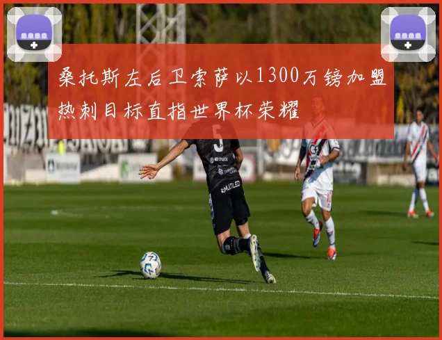 桑托斯左后卫索萨以1300万镑加盟热刺目标直指世界杯荣耀