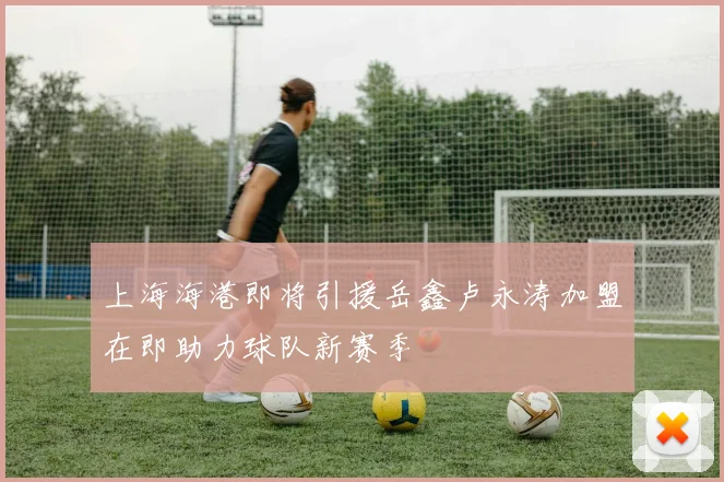 上海海港即将引援岳鑫卢永涛加盟在即助力球队新赛季