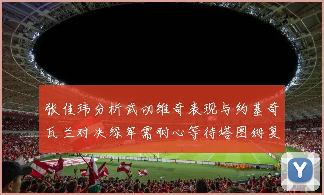 张佳玮分析武切维奇表现与约基奇瓦兰对决绿军需耐心等待塔图姆复出