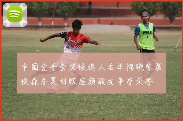 中国金手套奖候选人名单揭晓陈晨侯森李昊刘殿座颜骏凌争夺荣誉